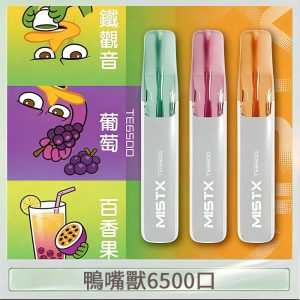 MIST X 鴨嘴獸 6500口一次性拋棄式電子煙｜陶瓷芯更穩定