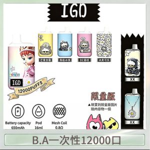 B.A IGD12000口 一次性拋棄式 電子煙