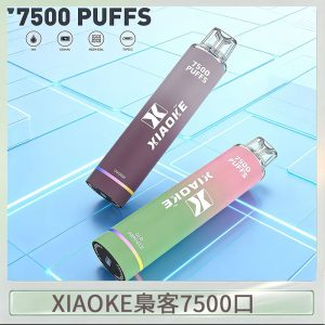 梟客XIAOKE一次性電子菸拋棄式7500口